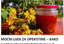 MOĆNI LIJEK ZA OPEKOTINE – KAKO NAPRAVITI KANTARIONOVO ULJE Prirodni eliksir koji smiruje kožu, ubrzava zarastanje rana i njeguje dubinski! MOĆNI LIJEK ZA OPEKOTINE – KAKO NAPRAVITI KANTARIONOVO ULJE Prirodni eliksir koji smiruje kožu, ubrzava zarastanje rana i njeguje dubinski! - featured image