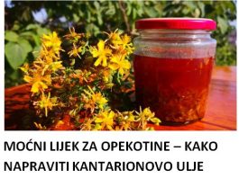 MOĆNI LIJEK ZA OPEKOTINE – KAKO NAPRAVITI KANTARIONOVO ULJE Prirodni eliksir koji smiruje kožu, ubrzava zarastanje rana i njeguje dubinski! MOĆNI LIJEK ZA OPEKOTINE – KAKO NAPRAVITI KANTARIONOVO ULJE Prirodni eliksir koji smiruje kožu, ubrzava zarastanje rana i njeguje dubinski! - featured image