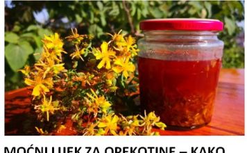 MOĆNI LIJEK ZA OPEKOTINE – KAKO NAPRAVITI KANTARIONOVO ULJE Prirodni eliksir koji smiruje kožu, ubrzava zarastanje rana i njeguje dubinski! MOĆNI LIJEK ZA OPEKOTINE – KAKO NAPRAVITI KANTARIONOVO ULJE Prirodni eliksir koji smiruje kožu, ubrzava zarastanje rana i njeguje dubinski! - featured image