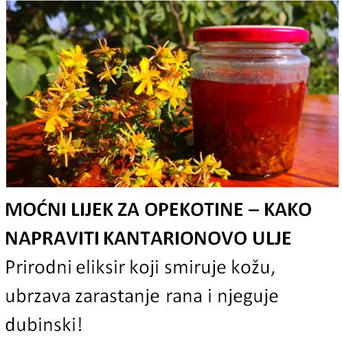 MOĆNI LIJEK ZA OPEKOTINE – KAKO NAPRAVITI KANTARIONOVO ULJE Prirodni eliksir koji smiruje kožu, ubrzava zarastanje rana i njeguje dubinski! - featured image MOĆNI LIJEK ZA OPEKOTINE – KAKO NAPRAVITI KANTARIONOVO ULJE Prirodni eliksir koji smiruje kožu, ubrzava zarastanje rana i njeguje dubinski! - featured image