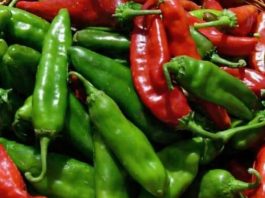 Hrana koja liječi: Ljuta papričica čudo od namirnice, evo za šta je sve dobra Hrana koja liječi: Ljuta papričica čudo od namirnice, evo za šta je sve dobra - featured image
