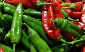 Hrana koja liječi: Ljuta papričica čudo od namirnice, evo za šta je sve dobra Hrana koja liječi: Ljuta papričica čudo od namirnice, evo za šta je sve dobra - featured image