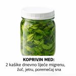 KOPRIVIN MED: 2 kašike dnevno liječe migrenu, žuč, jetru, poremećaj sna KOPRIVIN MED: 2 kašike dnevno liječe migrenu, žuč, jetru, poremećaj sna - featured image