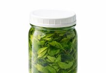 KOPRIVIN MED: 2 kašike dnevno liječe migrenu, žuč, jetru, poremećaj sna KOPRIVIN MED: 2 kašike dnevno liječe migrenu, žuč, jetru, poremećaj sna - featured image