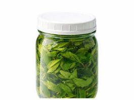 KOPRIVIN MED: 2 kašike dnevno liječe migrenu, žuč, jetru, poremećaj sna KOPRIVIN MED: 2 kašike dnevno liječe migrenu, žuč, jetru, poremećaj sna - featured image