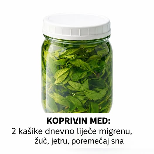 KOPRIVIN MED: 2 kašike dnevno liječe migrenu, žuč, jetru, poremećaj sna - featured image