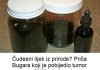 Čudesni lijek iz prirode? Priča Bugara koji je pobijedio tumor uz pomoć biljke koju svi imamo oko kuće! Čudesni lijek iz prirode? Priča Bugara koji je pobijedio tumor uz pomoć biljke koju svi imamo oko kuće! - featured image