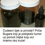 Čudesni lijek iz prirode? Priča Bugara koji je pobijedio tumor uz pomoć biljke koju svi imamo oko kuće! Čudesni lijek iz prirode? Priča Bugara koji je pobijedio tumor uz pomoć biljke koju svi imamo oko kuće! - featured image