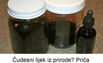 Čudesni lijek iz prirode? Priča Bugara koji je pobijedio tumor uz pomoć biljke koju svi imamo oko kuće! Čudesni lijek iz prirode? Priča Bugara koji je pobijedio tumor uz pomoć biljke koju svi imamo oko kuće! - featured image