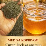 MED SA KOPRIVOM: Čuveni lijek za anemiju, glavobolju i nesanicu MED SA KOPRIVOM: Čuveni lijek za anemiju, glavobolju i nesanicu - featured image