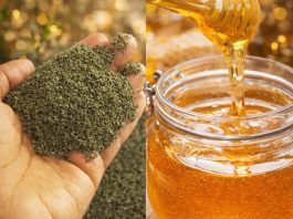 MED SA KOPRIVOM: Čuveni lijek za anemiju, glavobolju i nesanicu MED SA KOPRIVOM: Čuveni lijek za anemiju, glavobolju i nesanicu - featured image