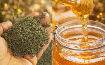 MED SA KOPRIVOM: Čuveni lijek za anemiju, glavobolju i nesanicu MED SA KOPRIVOM: Čuveni lijek za anemiju, glavobolju i nesanicu - featured image