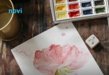 Najgori poklon za 8. mart: Ako ste planirali da kupite nešto od ovoga, bolje idite praznih ruku Najgori poklon za 8. mart: Ako ste planirali da kupite nešto od ovoga, bolje idite praznih ruku - featured image