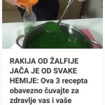 RAKIJA OD ŽALFIJE JAČA JE OD SVAKE HEMIJE: Ova 3 Recepta Obavezno Čuvajte Za Zdravlje Vas I Vaše Porodice RAKIJA OD ŽALFIJE JAČA JE OD SVAKE HEMIJE: Ova 3 Recepta Obavezno Čuvajte Za Zdravlje Vas I Vaše Porodice - featured image
