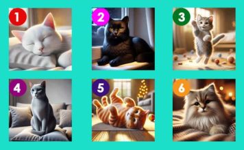 TEST: Izaberite najsimpatičniju macu – Ona će vam otkriti važnu poruku koju treba da čujete TEST: Izaberite najsimpatičniju macu – Ona će vam otkriti važnu poruku koju treba da čujete - featured image