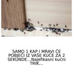 SAMO 1 KAP I MRAVI ĆE POBJEĆI IZ VAŠE KUĆE ZA 2 SEKUNDE… Najefikasni kućni TRIK… SAMO 1 KAP I MRAVI ĆE POBJEĆI IZ VAŠE KUĆE ZA 2 SEKUNDE… Najefikasni kućni TRIK… - featured image
