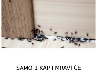 SAMO 1 KAP I MRAVI ĆE POBJEĆI IZ VAŠE KUĆE ZA 2 SEKUNDE… Najefikasni kućni TRIK… SAMO 1 KAP I MRAVI ĆE POBJEĆI IZ VAŠE KUĆE ZA 2 SEKUNDE… Najefikasni kućni TRIK… - featured image