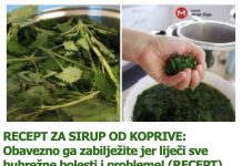 RECEPT ZA SIRUP OD KOPRIVE: Obavezno ga zabilježite jer liječi sve bubrežne bolesti i probleme! (RECEPT) RECEPT ZA SIRUP OD KOPRIVE: Obavezno ga zabilježite jer liječi sve bubrežne bolesti i probleme! (RECEPT) - featured image