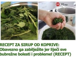 RECEPT ZA SIRUP OD KOPRIVE: Obavezno ga zabilježite jer liječi sve bubrežne bolesti i probleme! (RECEPT) RECEPT ZA SIRUP OD KOPRIVE: Obavezno ga zabilježite jer liječi sve bubrežne bolesti i probleme! (RECEPT) - featured image