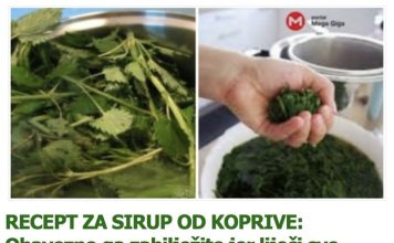 RECEPT ZA SIRUP OD KOPRIVE: Obavezno ga zabilježite jer liječi sve bubrežne bolesti i probleme! (RECEPT) RECEPT ZA SIRUP OD KOPRIVE: Obavezno ga zabilježite jer liječi sve bubrežne bolesti i probleme! (RECEPT) - featured image