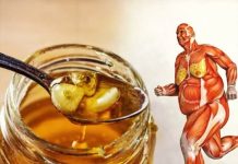 Ukoliko od danas počnete jesti med svaki dan, za mjesec dana vaše tijelo doživjet će ogromne promjene! Ukoliko od danas počnete jesti med svaki dan, za mjesec dana vaše tijelo doživjet će ogromne promjene! - featured image