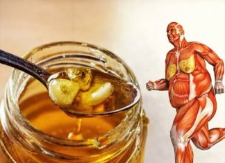 Ukoliko od danas počnete jesti med svaki dan, za mjesec dana vaše tijelo doživjet će ogromne promjene! Ukoliko od danas počnete jesti med svaki dan, za mjesec dana vaše tijelo doživjet će ogromne promjene! - featured image