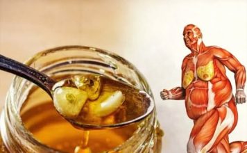 Ukoliko od danas počnete jesti med svaki dan, za mjesec dana vaše tijelo doživjet će ogromne promjene! Ukoliko od danas počnete jesti med svaki dan, za mjesec dana vaše tijelo doživjet će ogromne promjene! - featured image