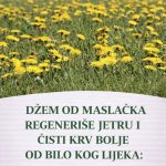Džem od maslačka regeneriše jetru i čisti krv bolje od bilo kog lijeka: Evo kako se pravi! Džem od maslačka regeneriše jetru i čisti krv bolje od bilo kog lijeka: Evo kako se pravi! - featured image