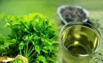 Na ovaj način se pije čaj od peršuna ako želite da smršate: 5 dana je dovoljno Na ovaj način se pije čaj od peršuna ako želite da smršate: 5 dana je dovoljno - featured image