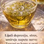 Liječi depresiju, stres, umiruje napete nerve: Travari se kunu u ovaj čudotvorni napitak Liječi depresiju, stres, umiruje napete nerve: Travari se kunu u ovaj čudotvorni napitak - featured image