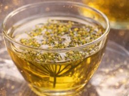 Liječi depresiju, stres, umiruje napete nerve: Travari se kunu u ovaj čudotvorni napitak Liječi depresiju, stres, umiruje napete nerve: Travari se kunu u ovaj čudotvorni napitak - featured image