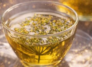 Liječi depresiju, stres, umiruje napete nerve: Travari se kunu u ovaj čudotvorni napitak Liječi depresiju, stres, umiruje napete nerve: Travari se kunu u ovaj čudotvorni napitak - featured image