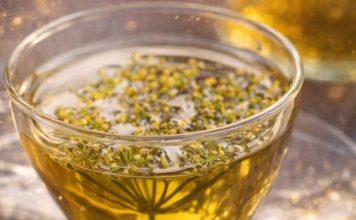 Liječi depresiju, stres, umiruje napete nerve: Travari se kunu u ovaj čudotvorni napitak Liječi depresiju, stres, umiruje napete nerve: Travari se kunu u ovaj čudotvorni napitak - featured image