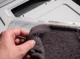 Prije nego što ga bacite, saznajte kako iskoristiti vlakna iz sušilice u vrtu Prije nego što ga bacite, saznajte kako iskoristiti vlakna iz sušilice u vrtu - featured image