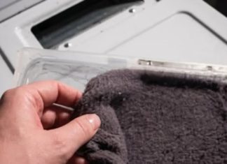 Prije nego što ga bacite, saznajte kako iskoristiti vlakna iz sušilice u vrtu Prije nego što ga bacite, saznajte kako iskoristiti vlakna iz sušilice u vrtu - featured image