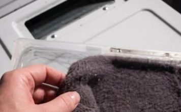 Prije nego što ga bacite, saznajte kako iskoristiti vlakna iz sušilice u vrtu Prije nego što ga bacite, saznajte kako iskoristiti vlakna iz sušilice u vrtu - featured image