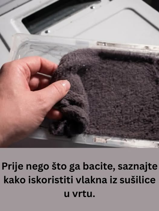 Prije nego što ga bacite, saznajte kako iskoristiti vlakna iz sušilice u vrtu - featured image
