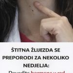 ŠTITNA ŽLIJEZDA SE PREPORODI ZA NEKOLIKO NEDJELJA: Dovedite hormone u red prirodnim sredstvima ŠTITNA ŽLIJEZDA SE PREPORODI ZA NEKOLIKO NEDJELJA: Dovedite hormone u red prirodnim sredstvima - featured image