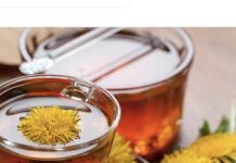 MED OD MASLAČKA: Evo kako se pravi i šta sve može da izleči! MED OD MASLAČKA: Evo kako se pravi i šta sve može da izleči! - featured image