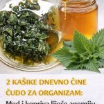 2 KAŠIKE DNEVNO ČINE ČUDO ZA ORGANIZAM: Med i kopriva liječe anemiju, migrenu, žuč, jetru 2 KAŠIKE DNEVNO ČINE ČUDO ZA ORGANIZAM: Med i kopriva liječe anemiju, migrenu, žuč, jetru - featured image