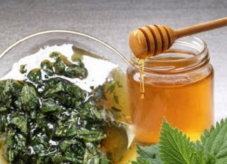 2 KAŠIKE DNEVNO ČINE ČUDO ZA ORGANIZAM: Med i kopriva liječe anemiju, migrenu, žuč, jetru 2 KAŠIKE DNEVNO ČINE ČUDO ZA ORGANIZAM: Med i kopriva liječe anemiju, migrenu, žuč, jetru - featured image