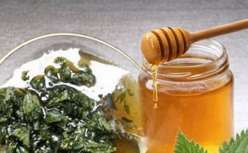 2 KAŠIKE DNEVNO ČINE ČUDO ZA ORGANIZAM: Med i kopriva liječe anemiju, migrenu, žuč, jetru 2 KAŠIKE DNEVNO ČINE ČUDO ZA ORGANIZAM: Med i kopriva liječe anemiju, migrenu, žuč, jetru - featured image