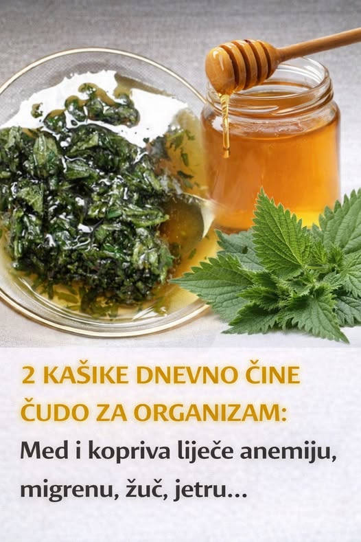 2 KAŠIKE DNEVNO ČINE ČUDO ZA ORGANIZAM: Med i kopriva liječe anemiju, migrenu, žuč, jetru - featured image 2 KAŠIKE DNEVNO ČINE ČUDO ZA ORGANIZAM: Med i kopriva liječe anemiju, migrenu, žuč, jetru - featured image