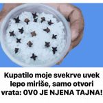 Kupatilo moje svekrve uvek lepo miriše, samo otvori vrata