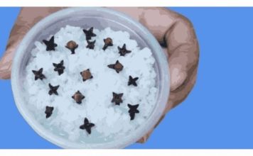 Kupatilo moje svekrve uvek lepo miriše, samo otvori vrata