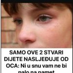 SAMO OVE 2 STVARI DIJETE NASLJEĐUJE OD OCA