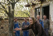 Moj unuk je plakao zbog napuštenog psa, a ja sam tog dana morala da biram između straha i srca