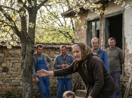 Moj unuk je plakao zbog napuštenog psa, a ja sam tog dana morala da biram između straha i srca