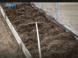 7 vrsta povrća koje gotovo nikada ne treba đubriti: Rastu uz vodu, sunce i malo brige 🌱