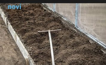 7 vrsta povrća koje gotovo nikada ne treba đubriti: Rastu uz vodu, sunce i malo brige 🌱